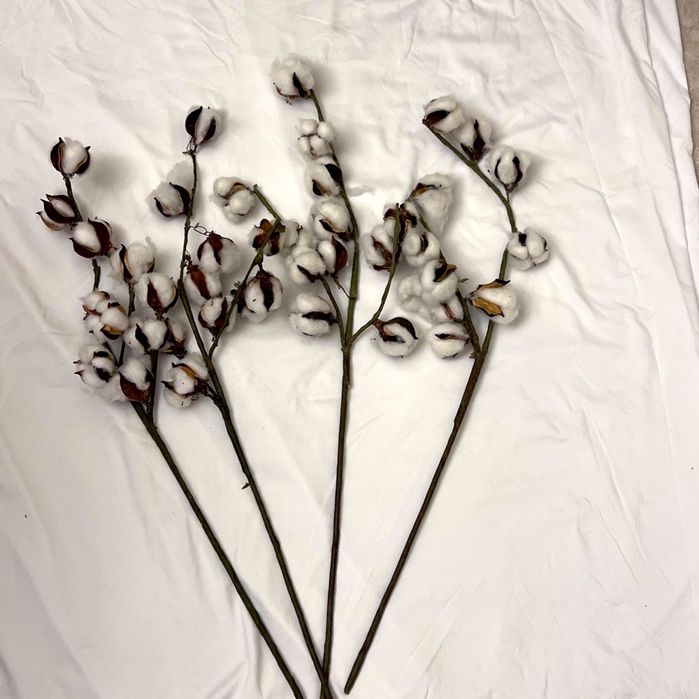 Cotton Decor